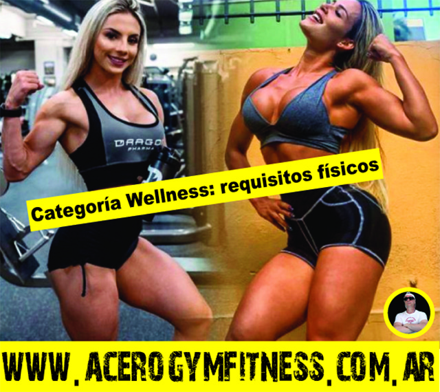 gimnasios-en-general-roca-rio-negro-acero-gym-categoria-welllness-requisitos