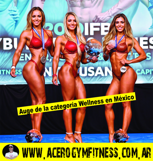 rutina-dieta-categoria-wellness-mexico-acero-gym-fitness-argentina-gimnasio